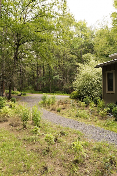 path to She-Shed by Designer Kate Cummings who reimagines the "She-Shed" in Kerhonkson NY