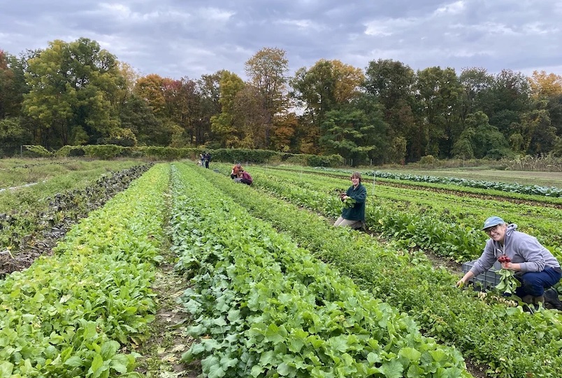Poughkeepsie Farm Project in Poughkeepsie NY