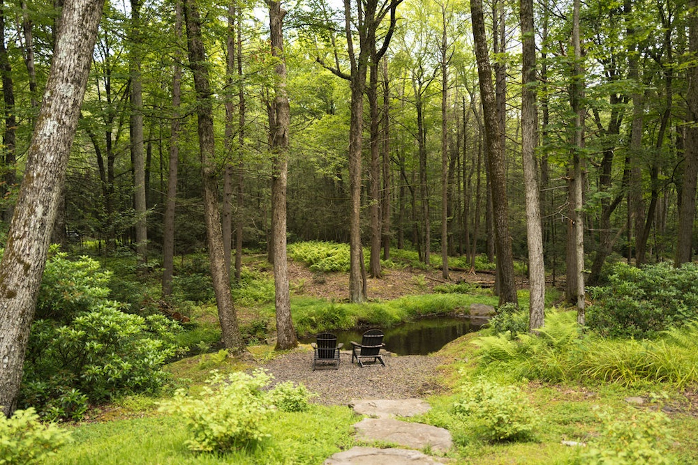 two chairs in the woods overlooking the stream in Kerhonkson NY