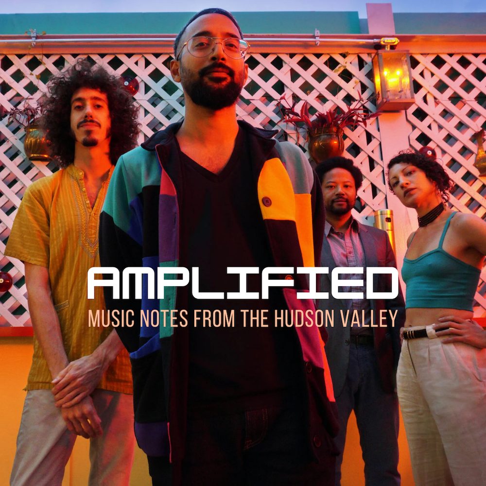 Music Notes from the Hudson Valley - meet musician Nikhil Yerawaderkar