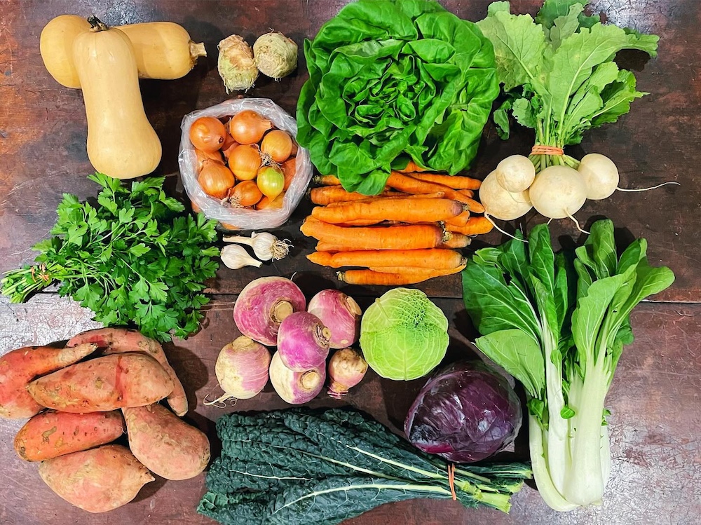 CSA share for the witer at Hearty Roots Community Farm