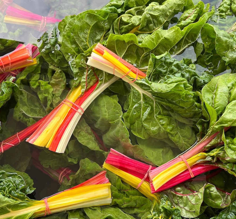 rainbow chard at a farmers market