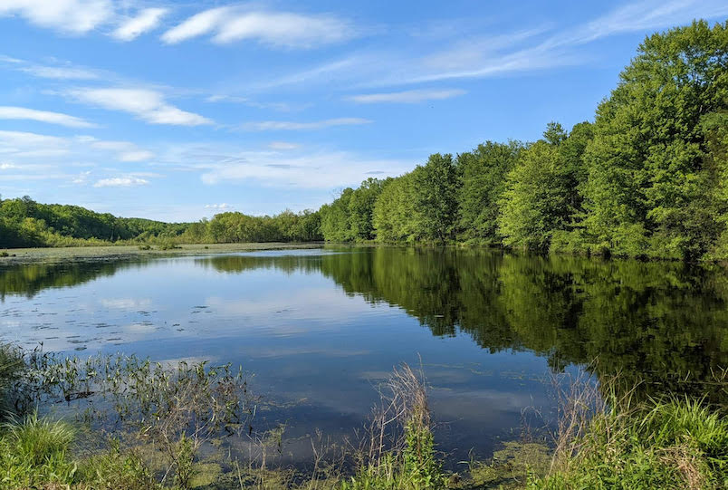 WildHeart Center for Performance in Wallkill NY