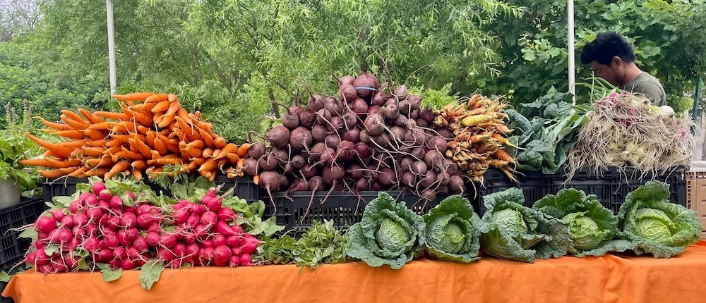 winter vegetable lined up on the table at Newburgh Farmers Market