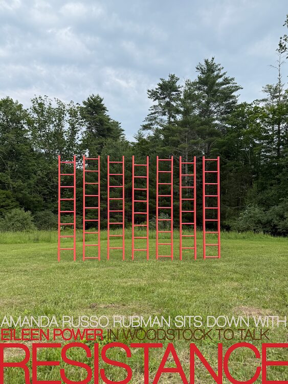 Artist Eileen Power Ladders: Resistance Exhibition at Woodstock Spa