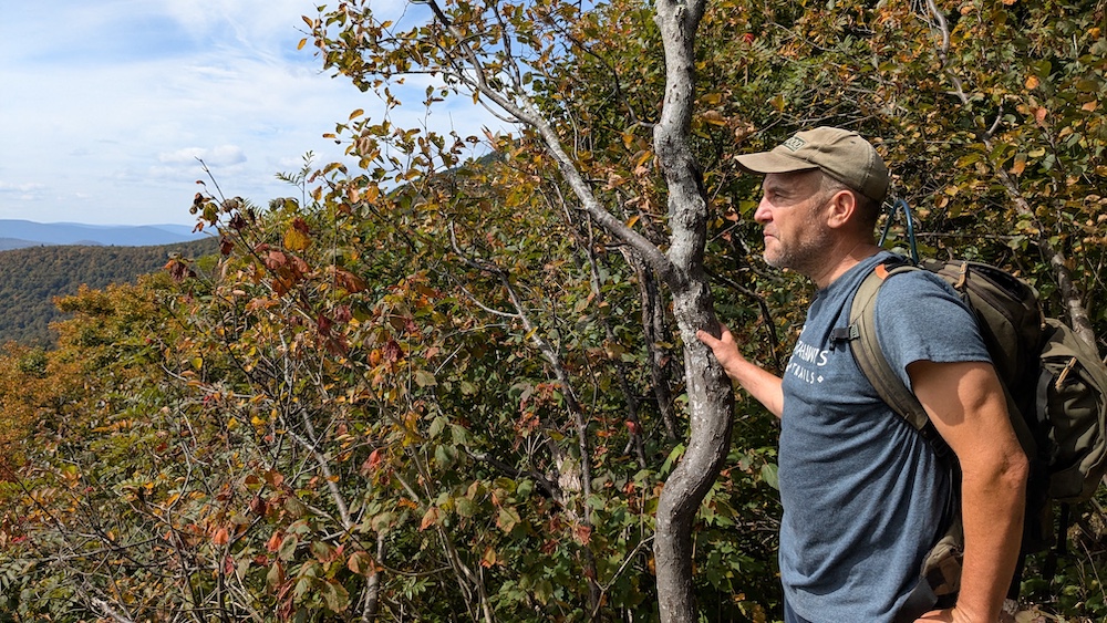 Eddie Walsh looking at the view of the mountain on a hike in the Catskills