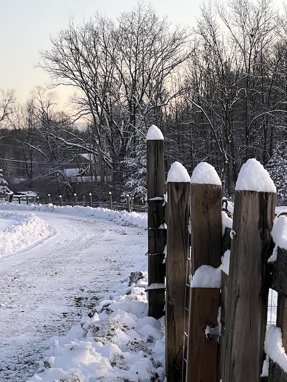 fresh snow on fence at Hilltop farm in Accord NY