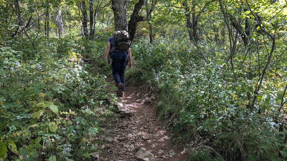 Eddie Walsh hiking up a trail path in the Catskills