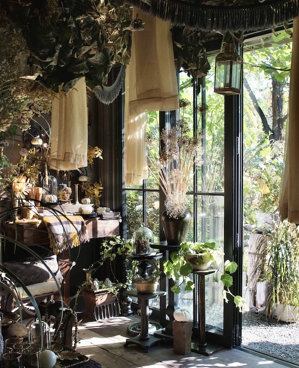 plants, pottery and candles by a glass window and door at Hort & Pott in Freehold NY