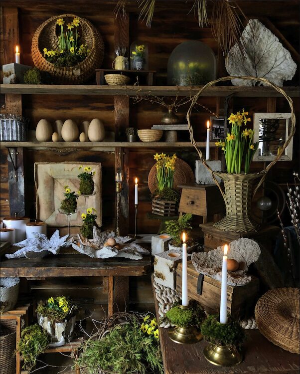 spring at Hort & Pott in Freehold NY
