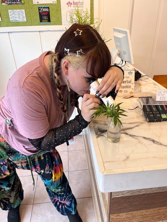 Staff member Eliot examines the product at HERbal Woodstock Cannabis Dispensary.