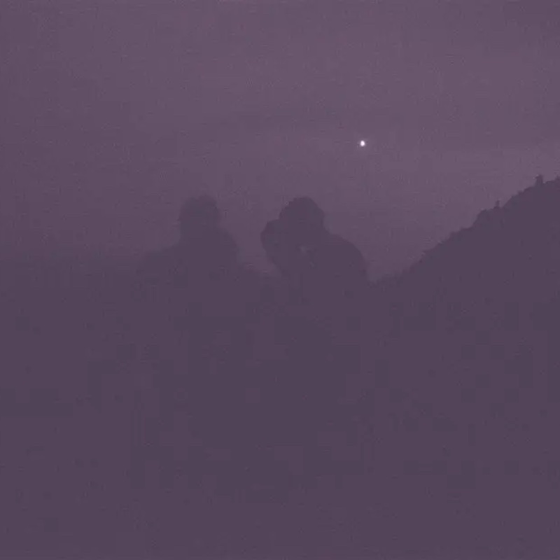 Florist Performs 'The Birds Outside Sang' & 'Holdly' w/ Hello Shark at Colony in Woodstock NY