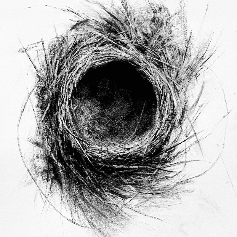 The Drawing Show at Carrie Haddad Gallery