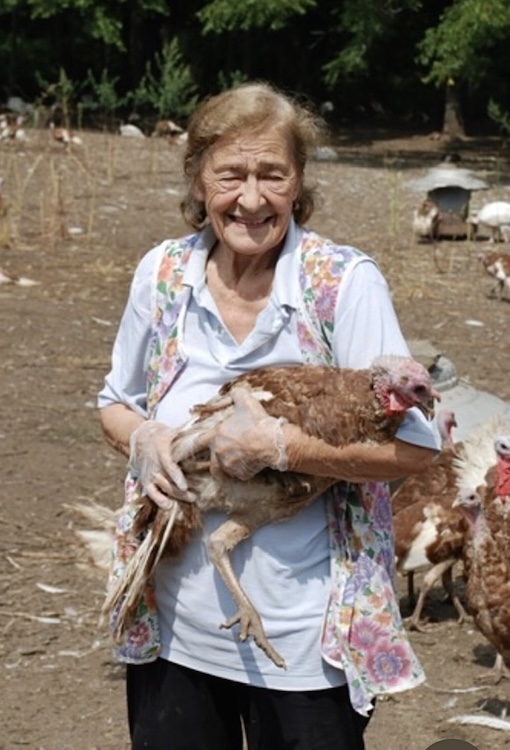 Quattro's Farm boasts generational farming