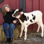 Farmer and MilkMaid Becky Collings Brooks and Birdy the dairy calf at Hilltop Farm in Accord, NY.