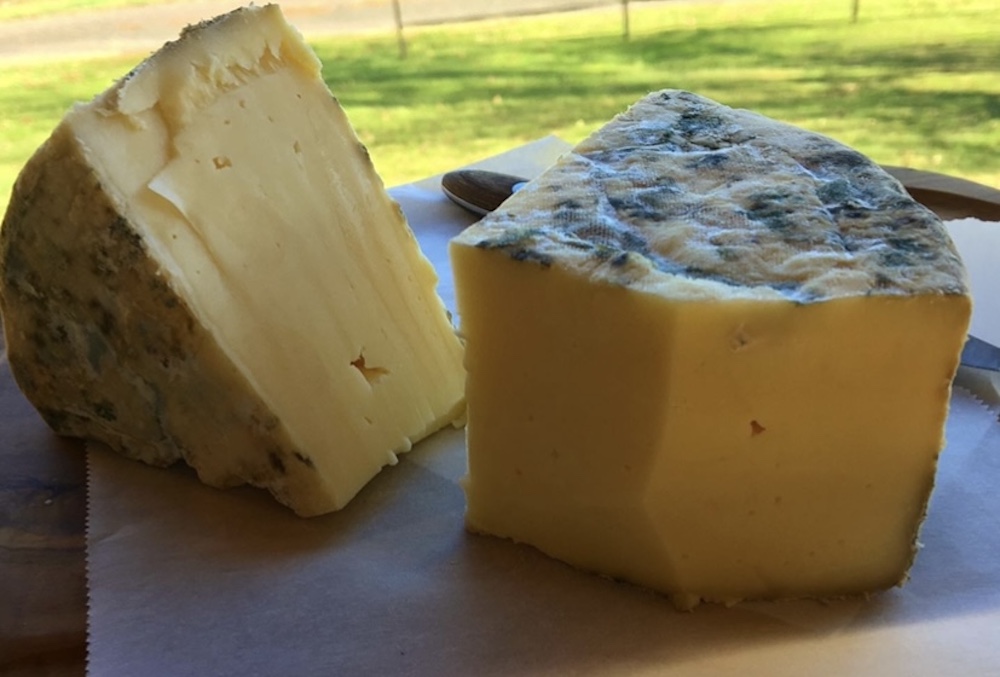 Becky's young cheddar cheese.