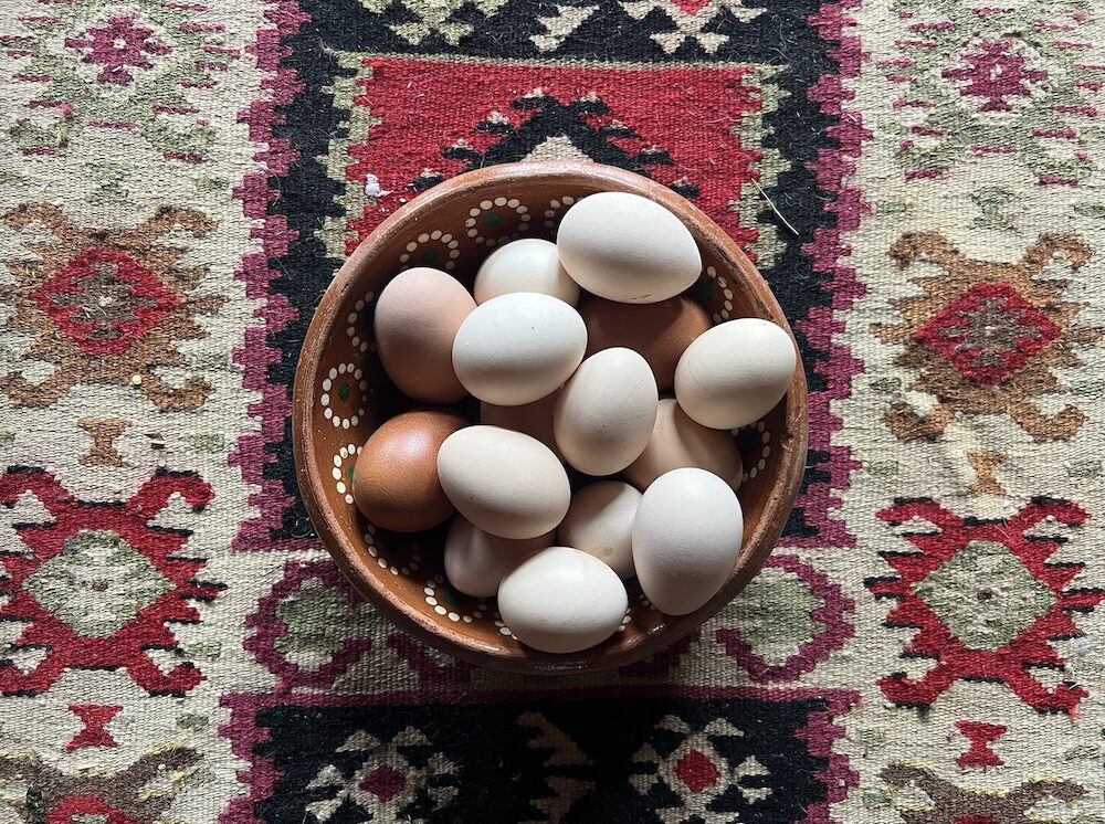 bowl of eggs on a Ukrainian rug for the Pysanky Workshop for Ukraine by Sasha Botanica