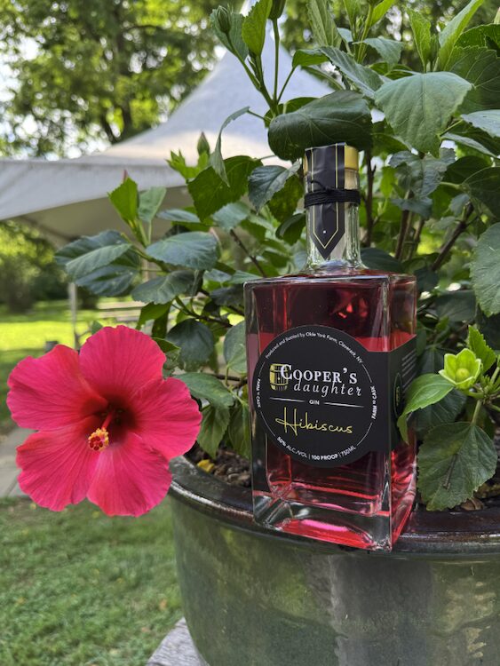 hibiscus spirits and a flower by Cooper’s Daughter Distillery in Claverack NY