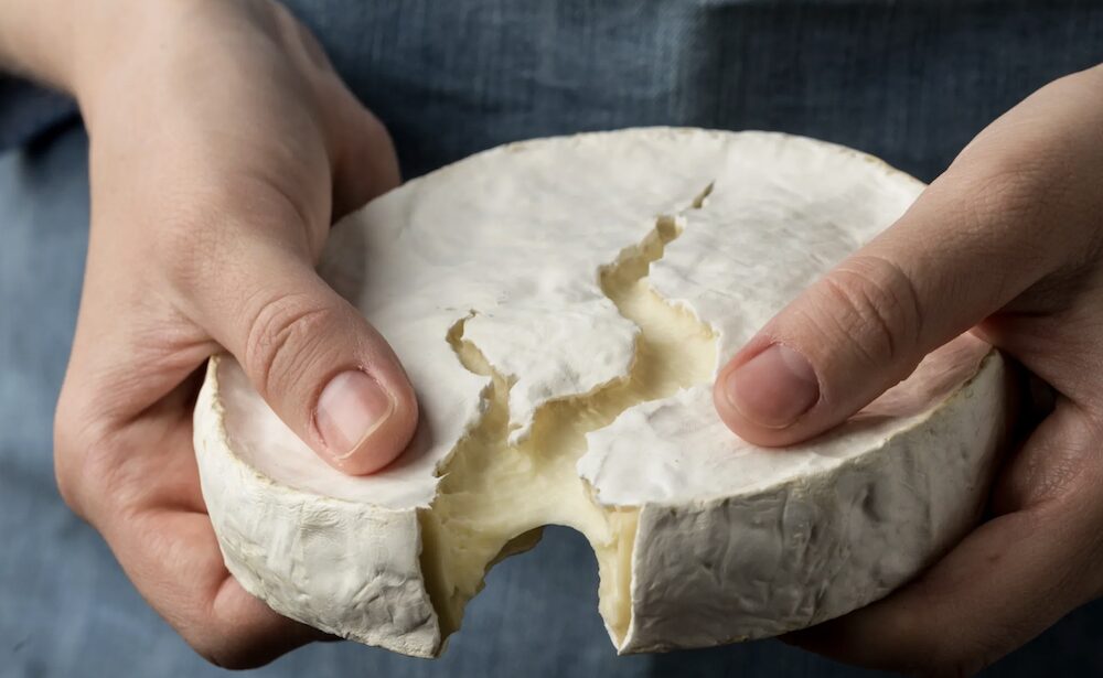 holding cheese photo New York Cheese Council