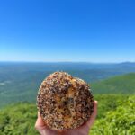 bagel from Moonrise Bagels ion Overlook Mountain in Woodstock NY