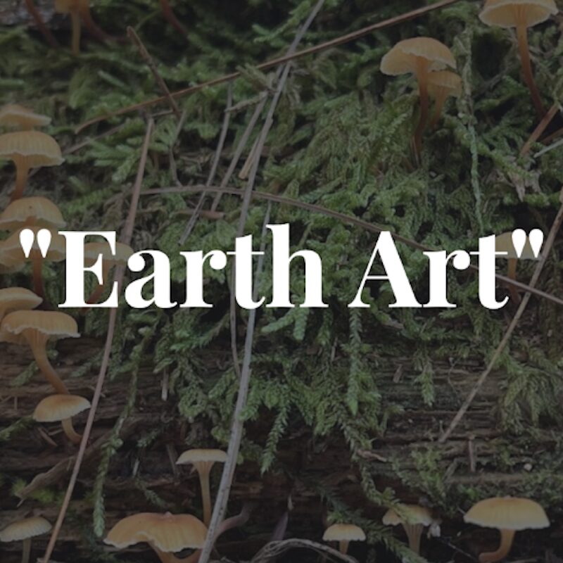 Earth Art Earth Week Finale at Mothership Gallery in Woodstock NY