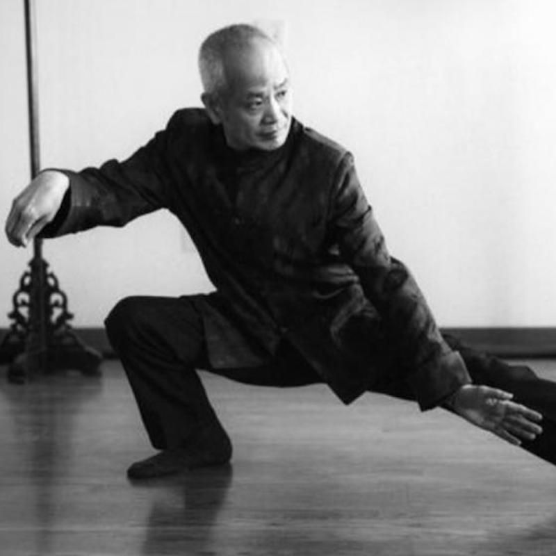 Fengyang Tai Chi & Qigong for Longevity at Omega Institute in Rhinebeck NY