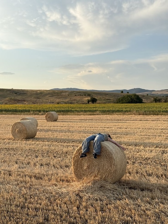 Soaking in the Spring sun on a hay bale