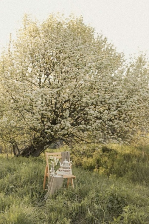 Tea set on a chair with Spring blooms