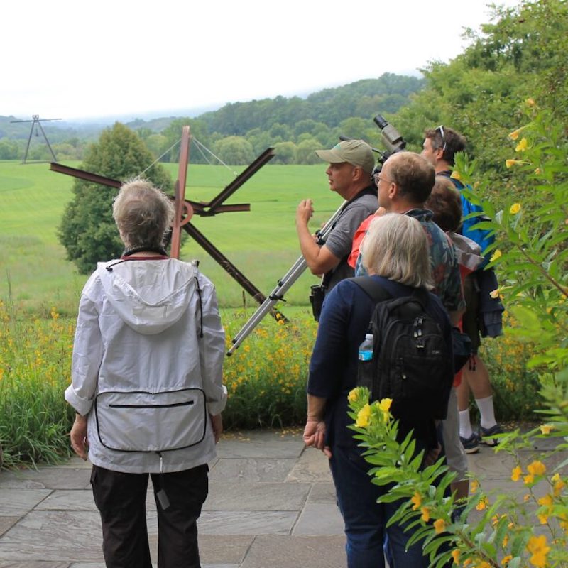 The Art of Birding at Storm King in New Windsor NY