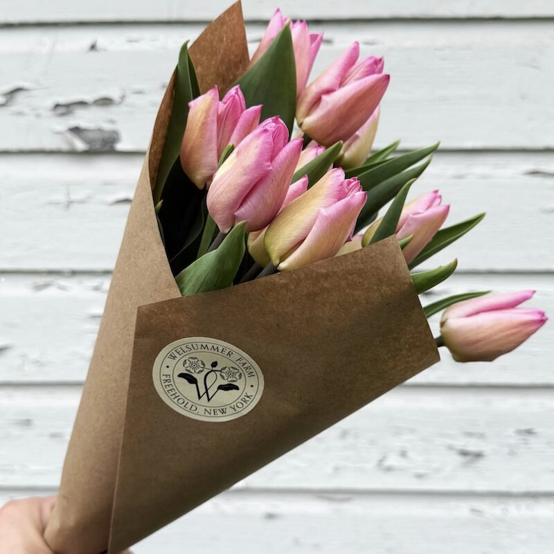 Bascilica Hudson Farm and Flea Spring Market in Hudson NY