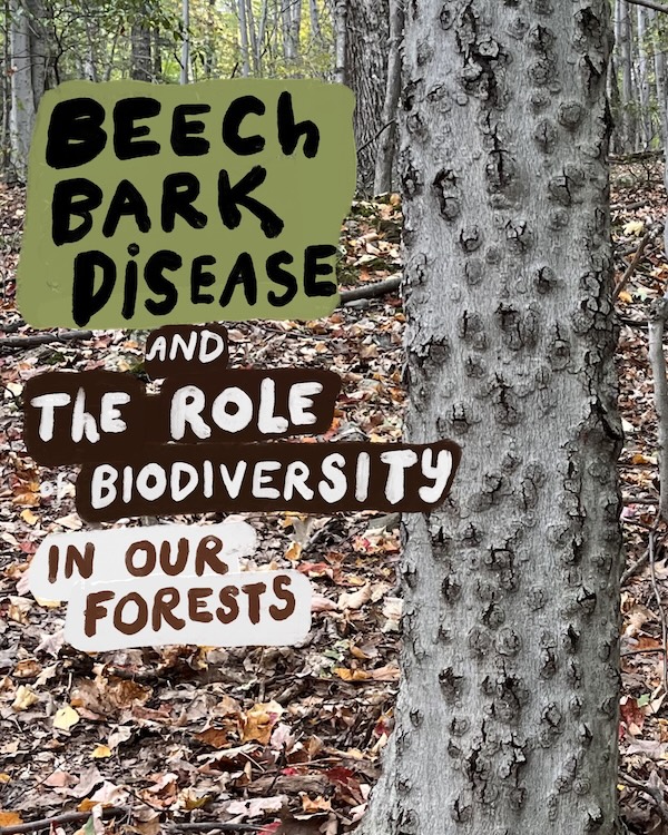 Educational Land Stewardship by Woodstock Land Conservancy