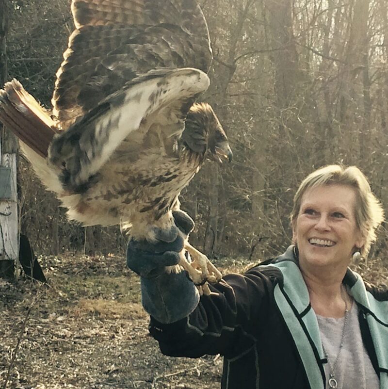 Birds of Prey by Ravensbeard in Earth Week Woodstock NY