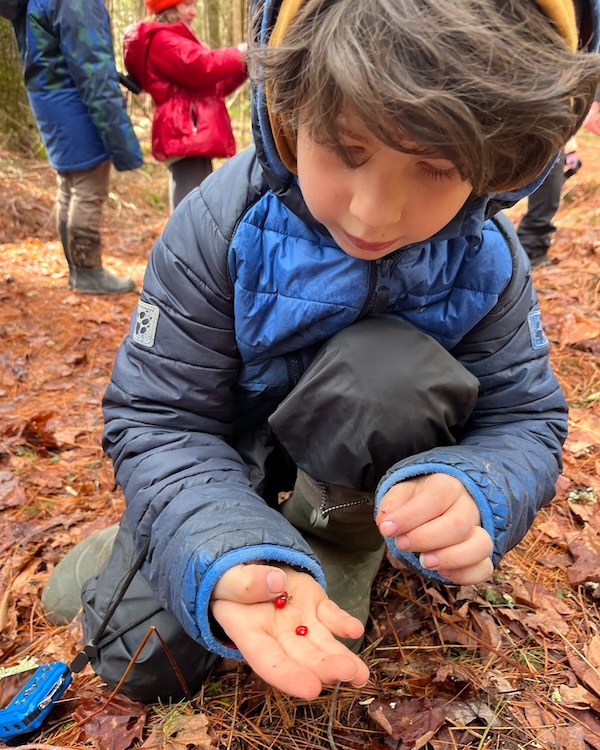 Educational Land Stewardship by Woodstock Land Conservancy