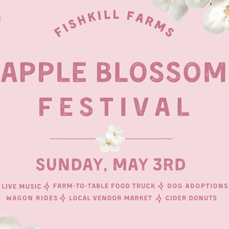 Fishkill Farms Apple Blossom Festival in Hopewell Junction NY