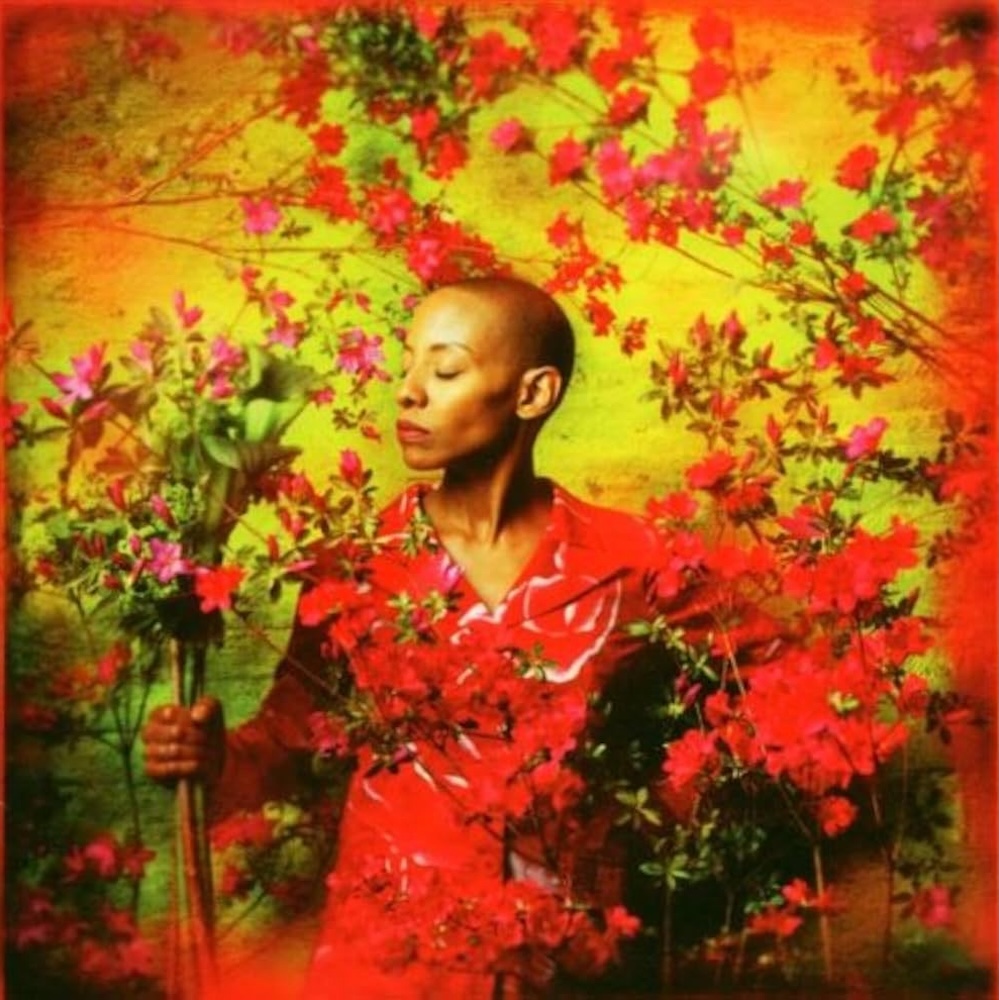 Gail Ann Dorsey I Used to Be Album