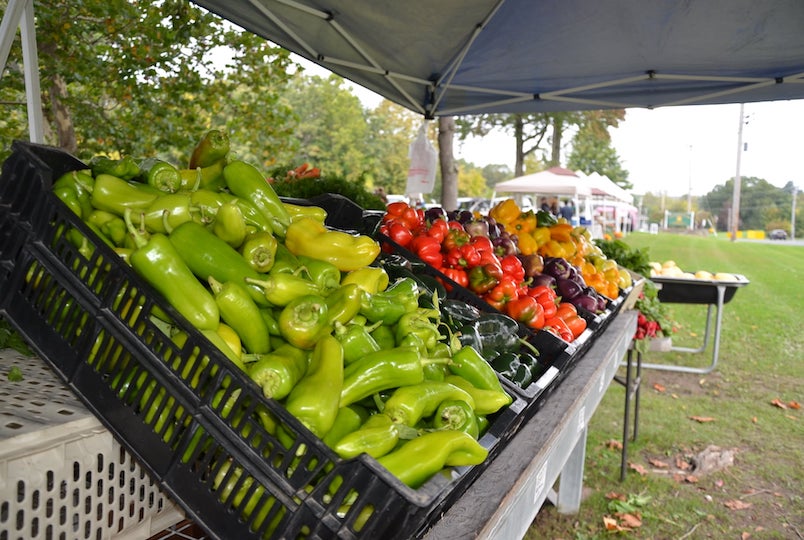 Heart of the Hudson Valley Farmers Market in Milton NY