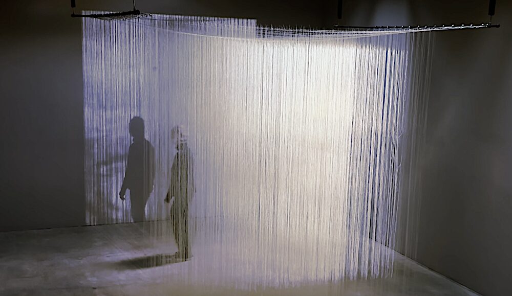 Installation art by Hudson Valley Artist Millicent Young