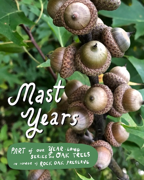 Educational Land Stewardship by Woodstock Land Conservancy