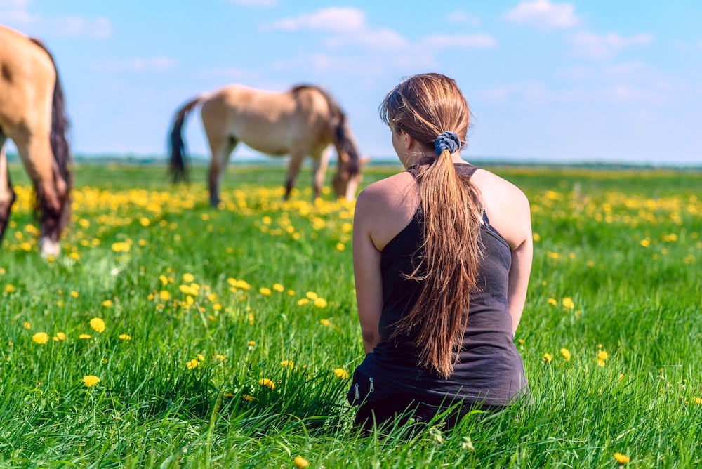 Meadow-tation with horses in a meadow