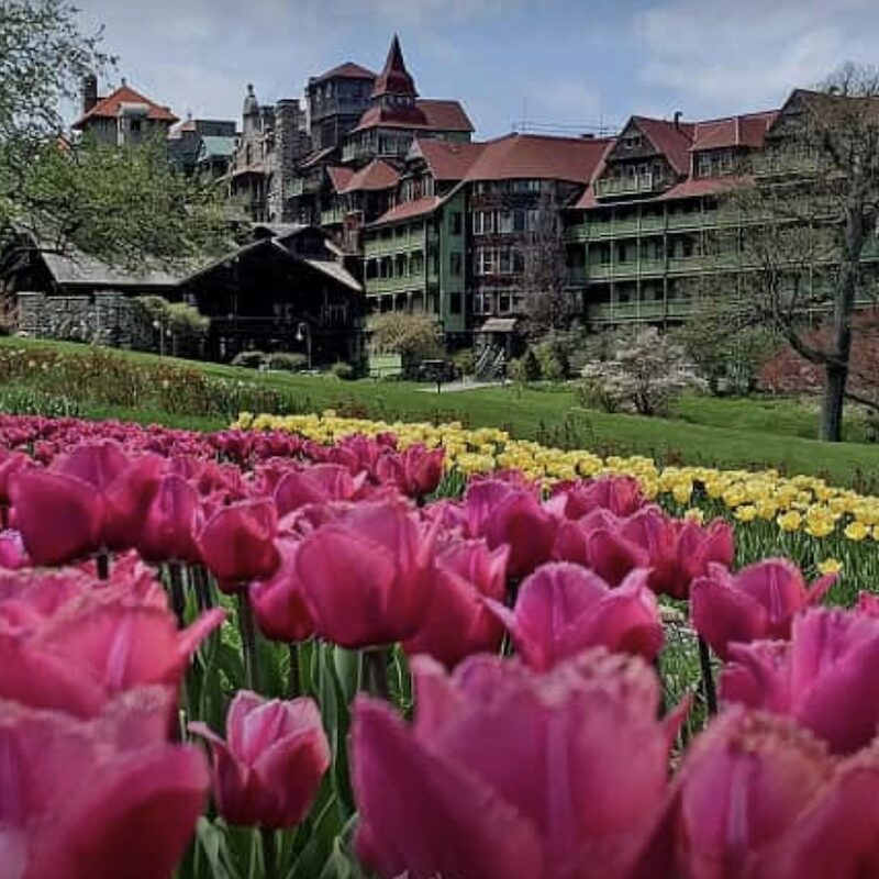 Mohonk Tulip Festival in New Paltz NY