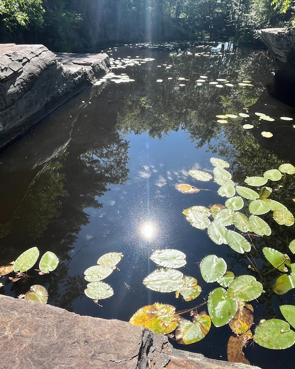 Hudson Valley Waterways Woodstock Land Conservancy
