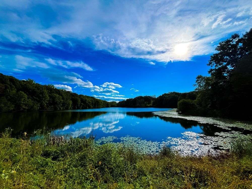 Gorgeous lake views at Rockefeller State Park