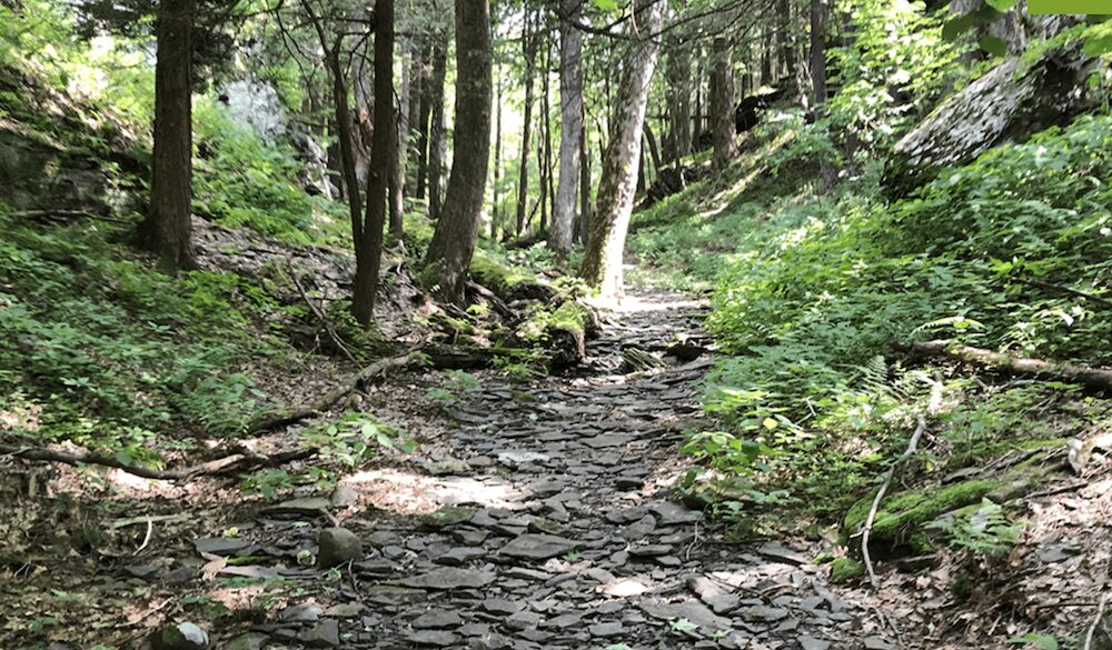 Sloan Gorge Preserve - a Woodstock Land Conservancy protected space.