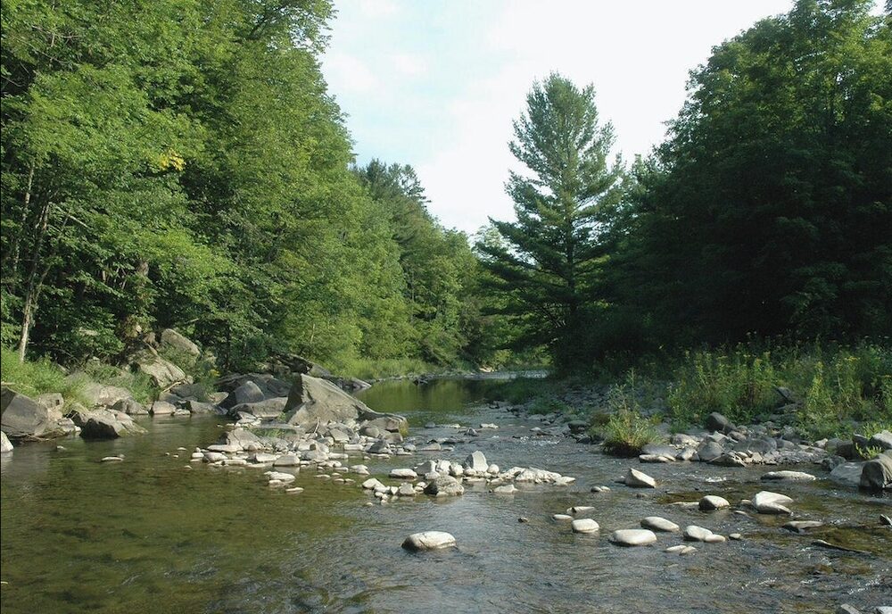 stream at 166 Todd Hill Road, West Kill NY