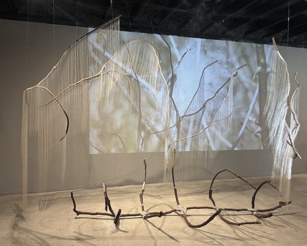 Art installation entitled: Sutra for Belonging 1 by Hudson Valley artist Millicent Young. 