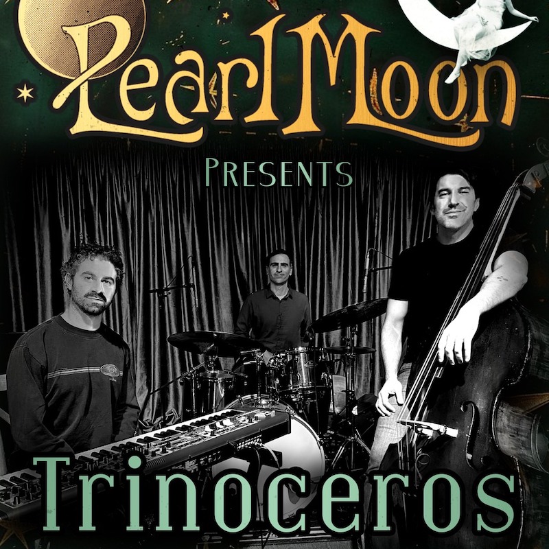 Dinner Show with Trinoceros at Pearl Moon in Woodstock NY