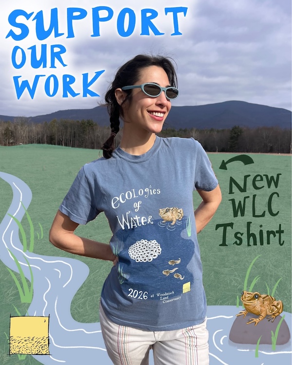 Educational Land Stewardship by Woodstock Land Conservancy