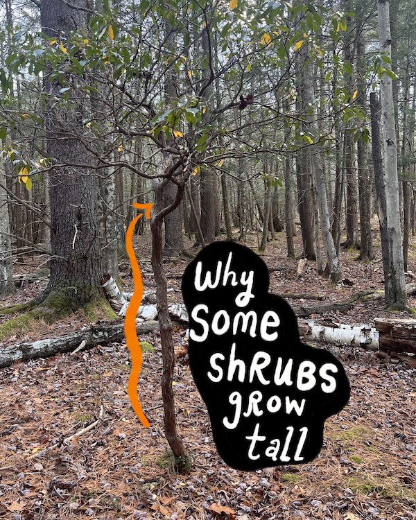 Educational Land Stewardship by Woodstock Land Conservancy