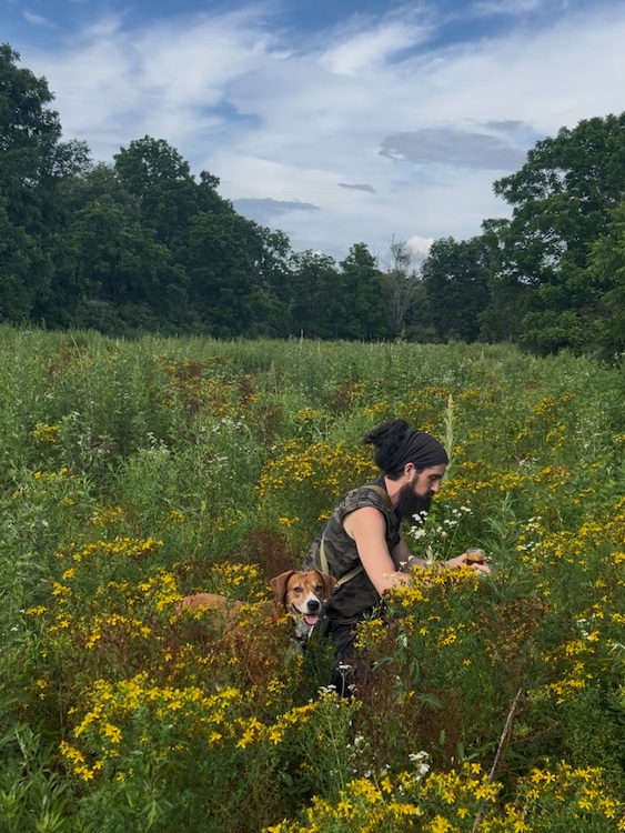 Dan de Lion in a field foraging herbs with his dog in the Hudson Valley NY.