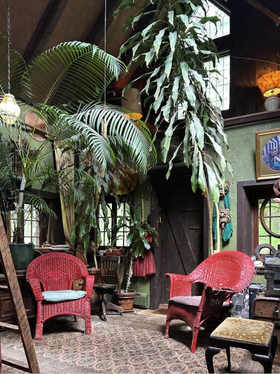 Indoor garden of 12 foot tall plants and red wicker chairs inside the house.
